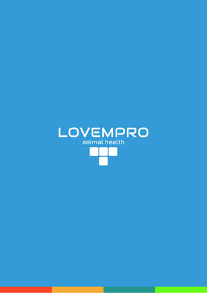 Lovempro Katalog e-katalog kapak görseli